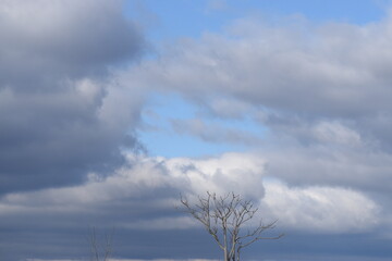 clouds and sky