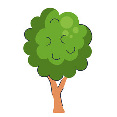 tree plant forest nature icon vector illustration design