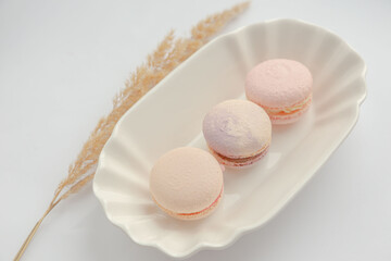 Three delicate French macarons lie on a vintage white plate next to a captive spikelet on a white background. Vintage. Advertising. Desser. Postcard. View from above. Dessert with tea.