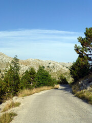 Straße im Nationalpark Biokovo