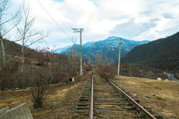 train rails and bushes by the mountains
