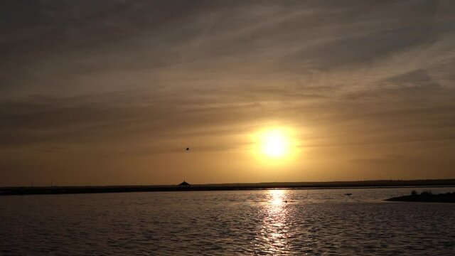 Aves volando sobre la puesta de sol en las marismas.
