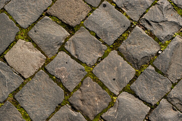 Abstract Background of Old Cobblestone Pavement Road with Green Moss. Grey pavement directly above