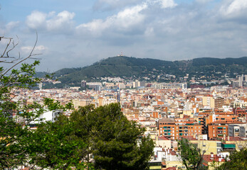 Espacio entre árboles en la montaña de Montjuic desde donde se divisa una parte de Barcelona.