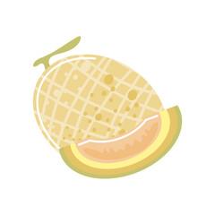 melon fresh fruit icon isolated style