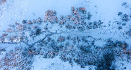 Aerial view of the frozen river covered with ice and snow and green trees.