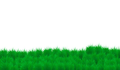 Fototapeta na wymiar green color grass land on white background