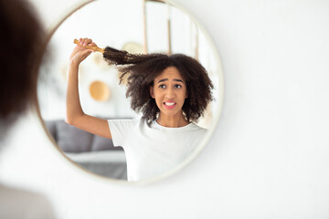 Upset millennial african american woman pulls comb out of damaged problems hair - obrazy, fototapety, plakaty