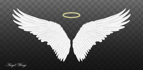 Pair of beautiful white angel wings isolated on transparent background. Vector concept white cute feathered wing animal on a transparent background.