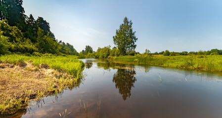 Fototapeta na wymiar Landscape with river, birch, trees, shrubs and grass against blue sky in summer