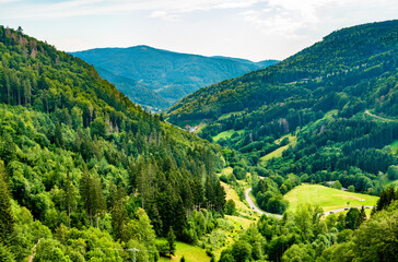 Fototapeta na wymiar Scenic panorama of the Black Forest Mountains in Germany