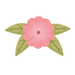 pink flower and leafs color decoration vector illustration design