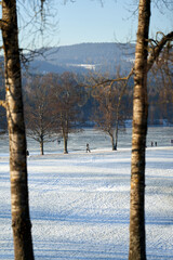 Walking for just the walk is a favorite activity in Norway. Families are gathering at the frozen lake for skating and having fun. It is a cold Sunday in January .
