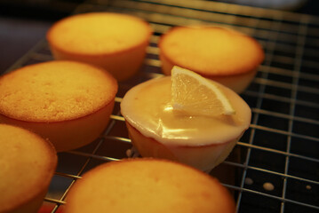 Moist and Sweet Lemon Butter Cake flavored with Lemon Juice Glaze Icing and Zest, garnished with a lemon slice. Soft and Sour Cream Lemon Dessert, putting on a steel baking rack.