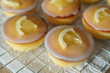 Moist and Sweet Lemon Butter Cake flavored with Lemon Juice Glaze Icing and Zest, garnished with a lemon slice. Soft and Sour Cream Lemon Dessert, putting on a steel baking rack.