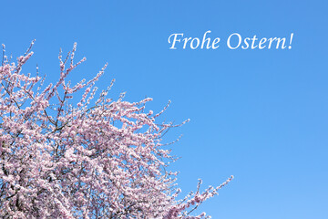 Frohe Ostern!