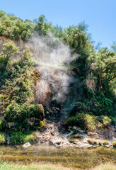 Fototapeta na wymiar Rising steam and rocky cliffs in Waimangu Volcanic Valley