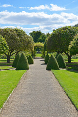  Clipped Box topiary bushes in a formal garden