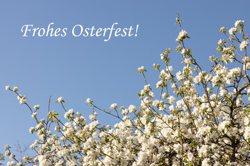 Frohes Osterfest!