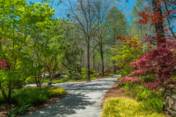 Ball Ground, Georgia USA - April 11, 2018 Trails through Gibbs gardens in early springtime