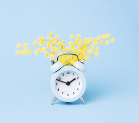 Minimal pastel spring poster. Alarm clock and mimosa flowers blue background.
