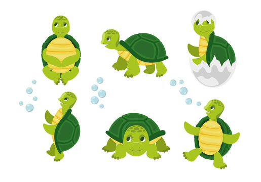Cartoon turtles. Happy funny animals running tortoise vector collection. Cartoon vector turtle in various action poses