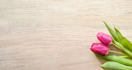 background with natural tulips with a place for an inscription 