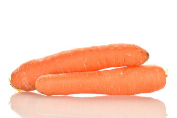 Two fresh organic, unpeeled carrots, close-up, isolated on white.