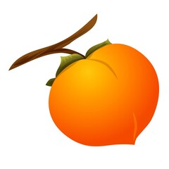 Persimmon tree branch icon. Cartoon of persimmon tree branch vector icon for web design isolated on white background