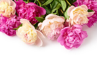 Bouquet of peony flowers over white background