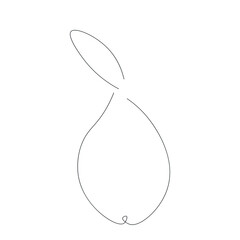 Pear fruit on white background, vector illustration