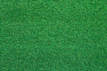 Green grass texture can be use as background