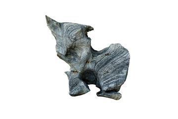 Strange shaped gneiss rock isolated on white background.  A big rock stone for garden decoration.
