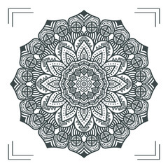 luxury mandala background art vector