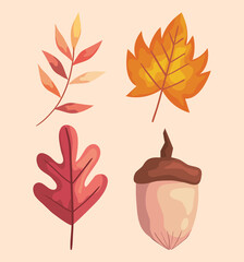 autumn leafs and branch with nut icons vector illustration design