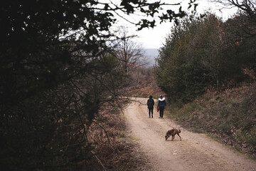 Fototapeta premium Rear view Friends trekking in the mountains and laughing