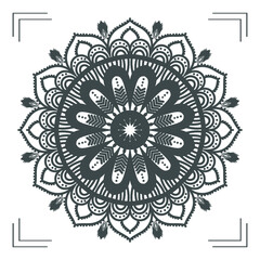 mandala drawing design vector