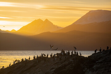 Penguin Islands in Argentine Patagonia