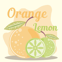 fruits fresh citrus lemon and orange