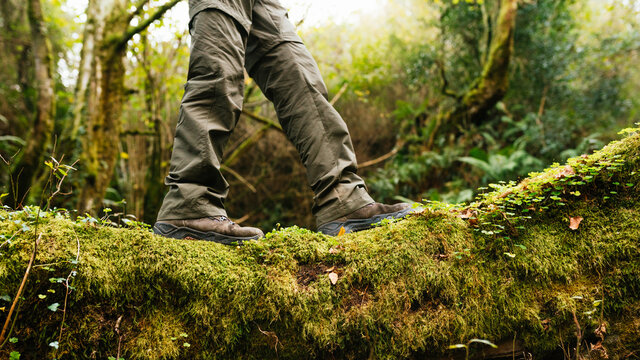 Side View Of Legs Of Crop Explorer In Trekking Boots Standing On Mossy Ground In Forest During Summer Adventure