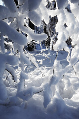 Fototapeta na wymiar Beautiful snowy landscape after heavy snowfall