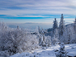 Obraz premium Winter photo in Polish mountains
