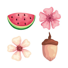 beautiful flowers with watermelon and nut vector illustration design
