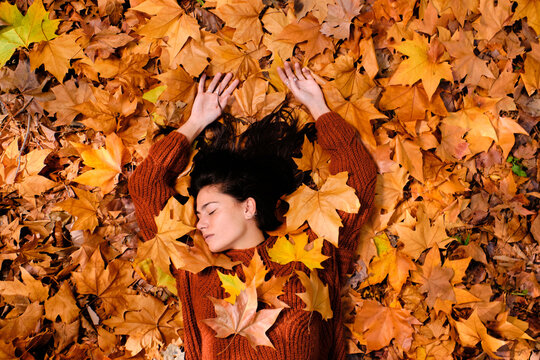 Top view of attractive relaxed young brunette in red knitted sweater and jeans lying on colorful fallen maple foliage while chilling in autumn park with eyes closed