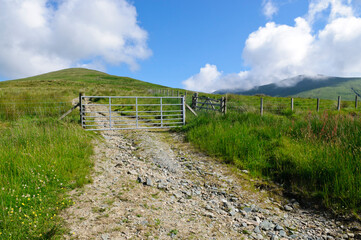 Fototapeta na wymiar Farm gate in Scotland.