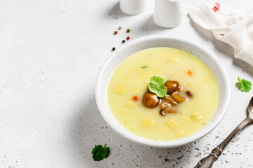 Homemade mushroom soup in a bowl. Space for text.