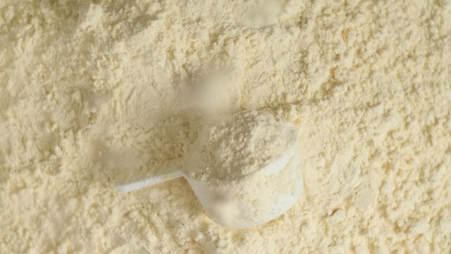 Protein powder and measuring scoop top view