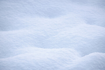 Fototapeta na wymiar white, clean, fluffy, snow, texture of the fallen snow, winter background
