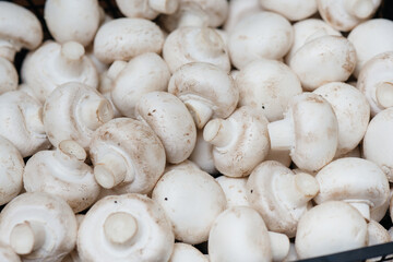 Ripe fresh mushrooms in a box in the warehouse after assembling a close-up.
