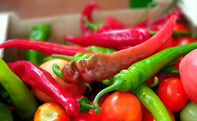 red and green chili peppers